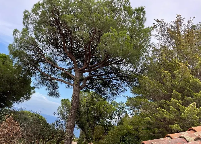 Villa In Tossa De Mar