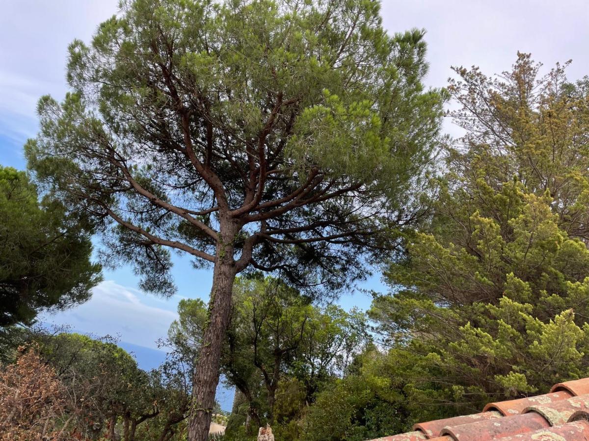 In Villa Tossa de Mar